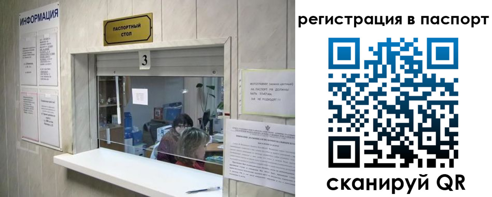 прописка поиск в Данкове